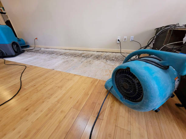 Professional Flood Damage Cleanup technician working in Howard, CO